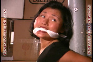 Alternative view of Asian Luna Pyxis Kidnapped & Post Tied In Pantyhose at Secret Meeting! (7 min)