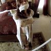 POV Bondage! Natasha Flade Tied to Post at Gunpoint, Barefoot in Robe