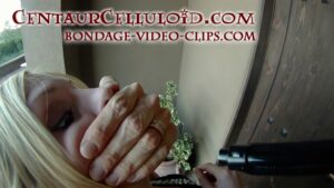 Alternative view of POV Bondage! Justine Adams & Daphne Paige in Heels Roped Arms-Up in Home Invasion! (FULL HD - 11:15 min)