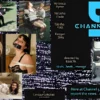 Channel 5 - When Bondage Porn Producer Gets Stung by News Station, Revenge Follows! Vintage VHS Feature Movie from 2001! (Download - 106 min)